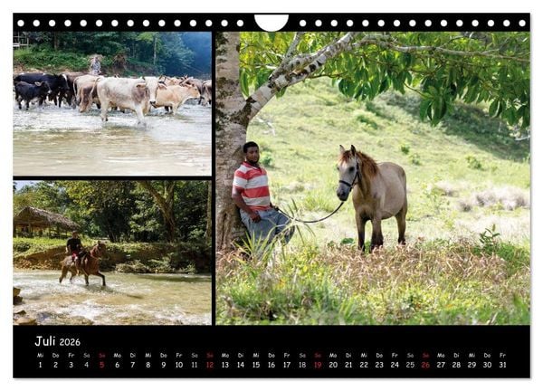 Produktbild: Dominikanische Republik Land & Leute (Wandkalender 2026 DIN A4 quer), CALVENDO Monatskalender