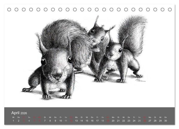 Produktbild: owls & friends 2026 (Tischkalender 2026 DIN A5 quer), CALVENDO Monatskalender