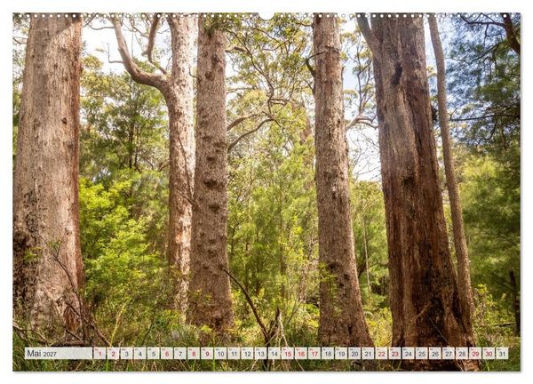 Produktbild: Das s&uuml;dliche Australien - vielf&auml;ltig, &uuml;berraschend, unvergesslich (hochwertiger Premium Wandkalender 2027 DIN A2 quer), Kunstdruck in Hochglanz