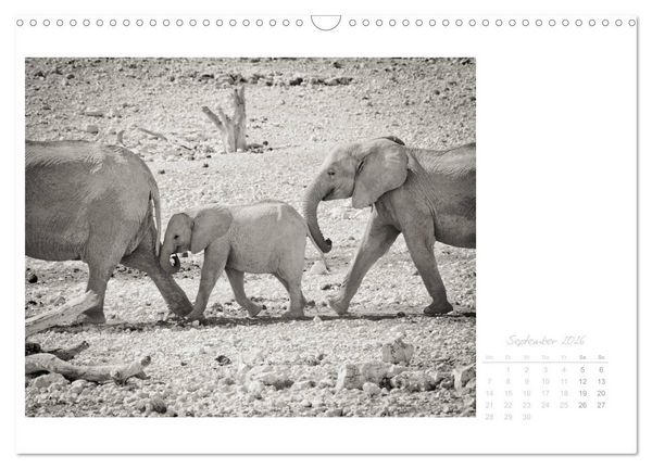 Produktbild: Elefanten in Etosha (Wandkalender 2026 DIN A3 quer), CALVENDO Monatskalender