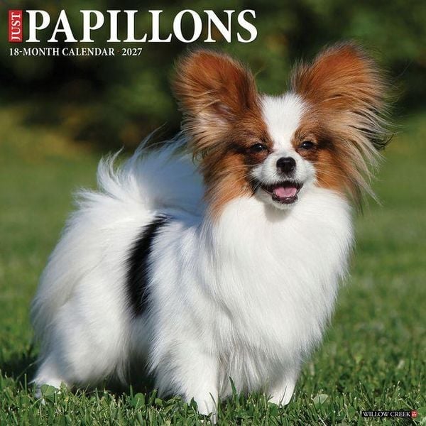 Produktbild: Papillons 2027 12 X 12 Wall Calendar