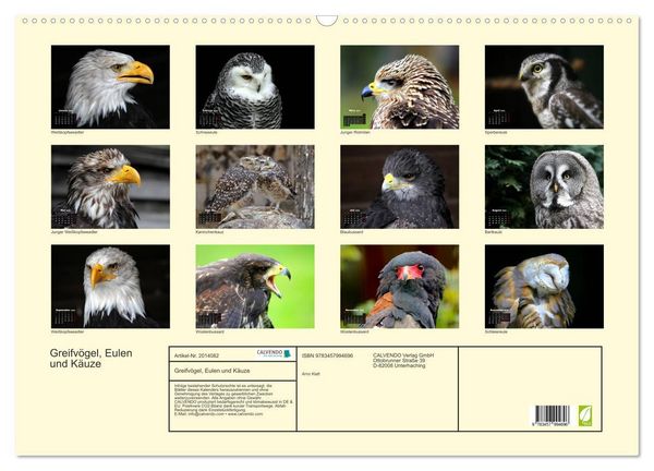 Produktbild: Greifv&ouml;gel, Eulen und K&auml;uze (Wandkalender 2026 DIN A2 quer), CALVENDO Monatskalender