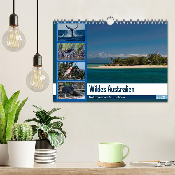 Produktbild: Wildes Australien - Naturparadies 5. Kontinent (Wandkalender 2026 DIN A4 quer), CALVENDO Monatskalender