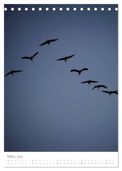 Produktbild: Der Flug der Kraniche (Tischkalender 2026 DIN A5 hoch), CALVENDO Monatskalender