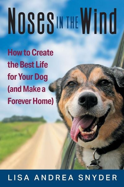 Produktbild: Noses in the Wind