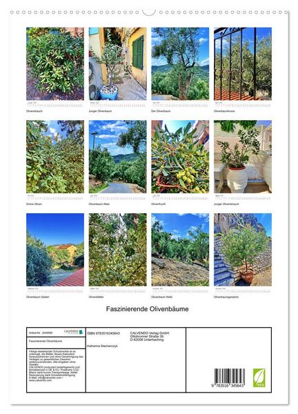 Produktbild: Faszinierende Olivenb&auml;ume (hochwertiger Premium Wandkalender 2026 DIN A2 hoch), Kunstdruck in Hochglanz