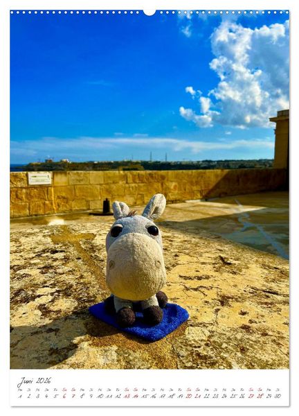 Produktbild: Schorschi auf Reisen ein kleiner Esel unterwegs auf der Insel Malta (Wandkalender 2026 DIN A2 hoch), CALVENDO Monatskalender