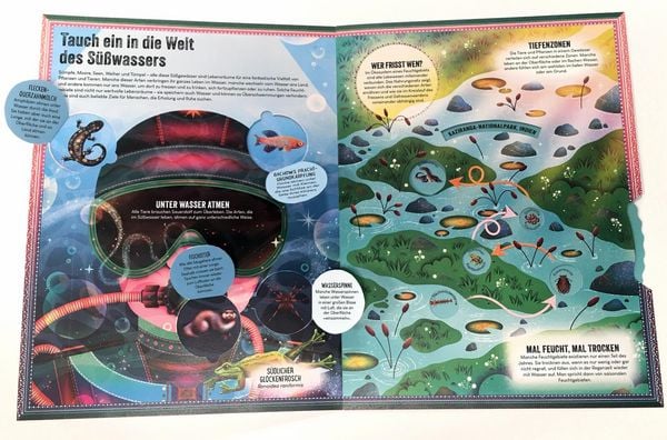 Produktbild: Das unglaubliche Pop-up-Buch &ndash; Am Wasser