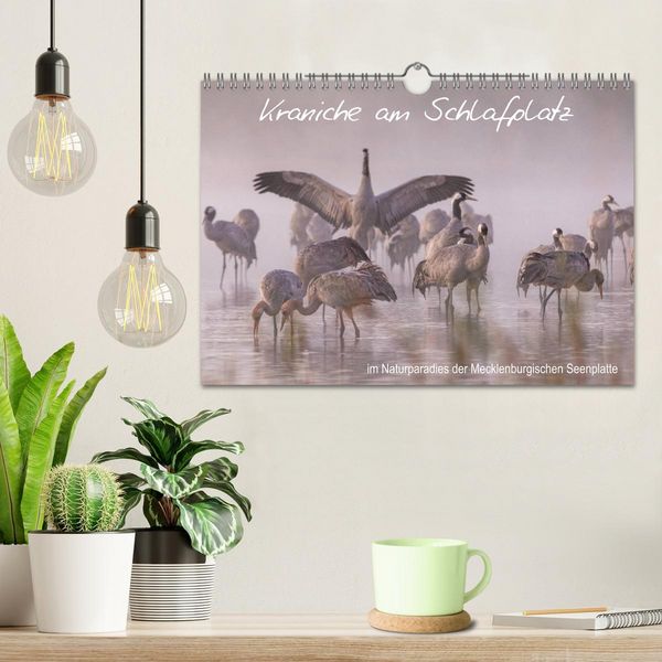 Produktbild: Kraniche am Schlafplatz - im Naturparadies der Mecklenburgischen Seenplatte (Wandkalender 2026 DIN A4 quer), CALVENDO Monatskalender