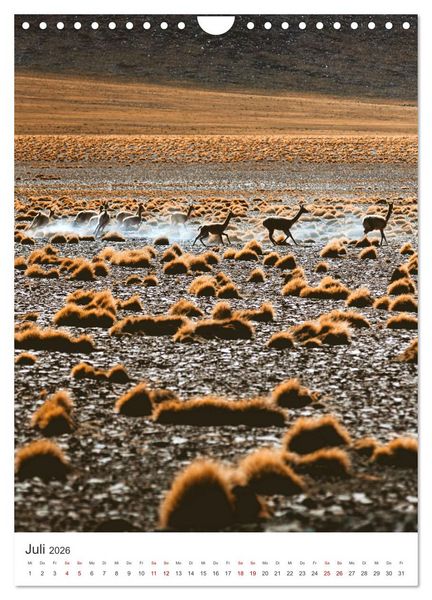 Produktbild: Chile - Ein Land mit unglaublicher Vielfalt. (Wandkalender 2026 DIN A4 hoch), CALVENDO Monatskalender