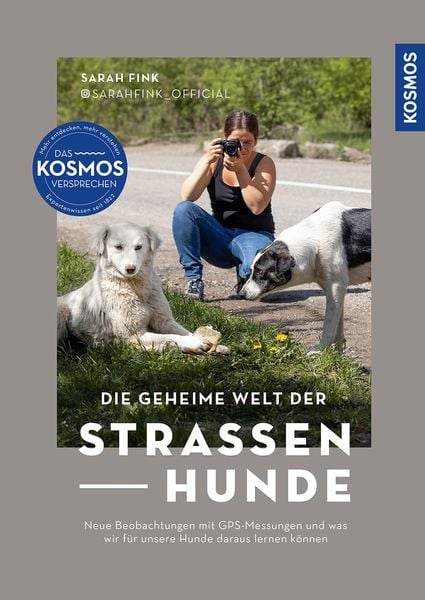 Produktbild: Die geheime Welt der Straßenhunde