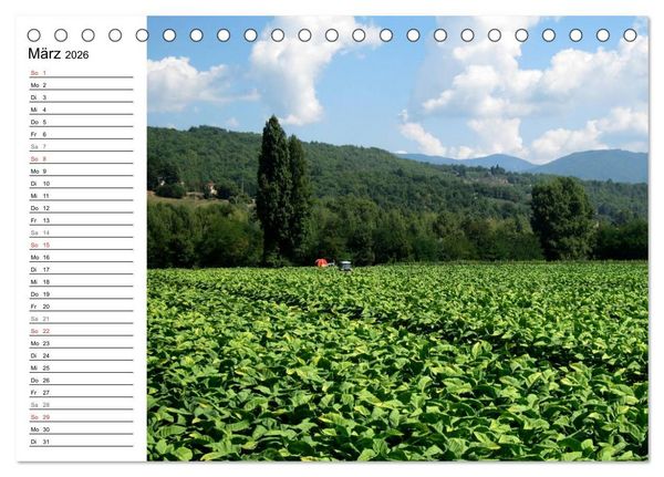 Produktbild: Camino di Assisi - Franziskusweg (Tischkalender 2026 DIN A5 quer), CALVENDO Monatskalender
