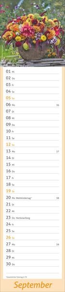 Produktbild: times&more Garten Langplaner 2027