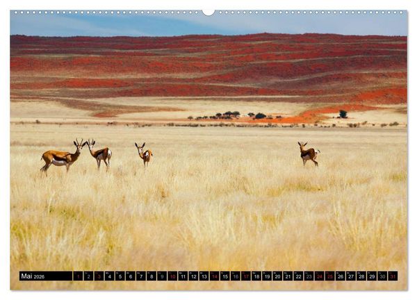 Produktbild: Namib Naukluft Nationalpark. NAMIBIA 2026 (Wandkalender 2026 DIN A2 quer), CALVENDO Monatskalender