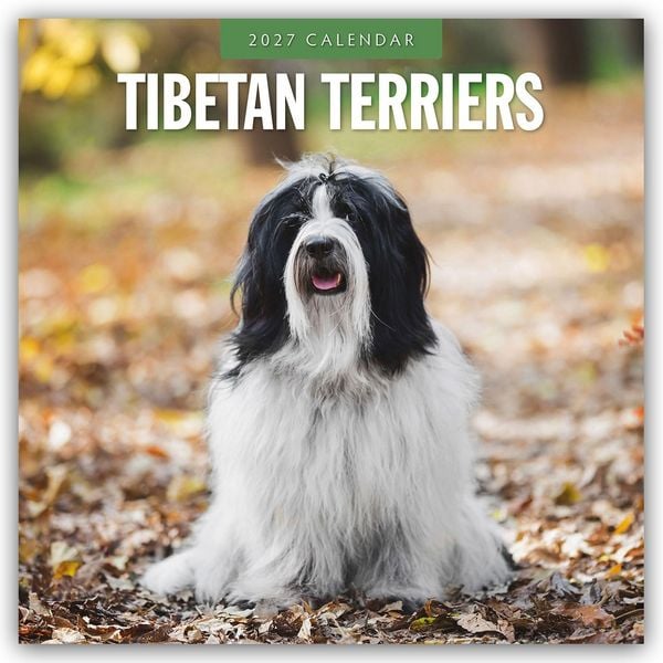 Produktbild: Tibetan Terriers &ndash; Tibet Terrier 2027 &ndash; 16-Monatskalender