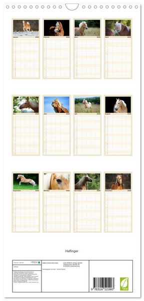 Produktbild: Familienplaner 2026 - Haflinger mit 5 Spalten (Wandkalender, 21 x 45 cm) CALVENDO