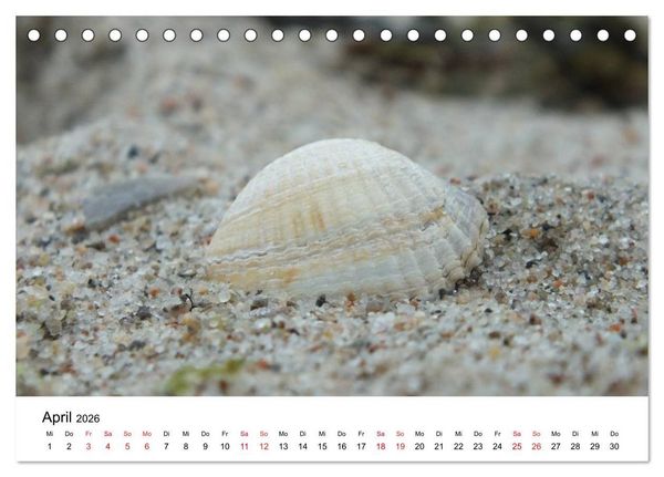 Produktbild: L&uuml;becker Bucht (Tischkalender 2026 DIN A5 quer), CALVENDO Monatskalender