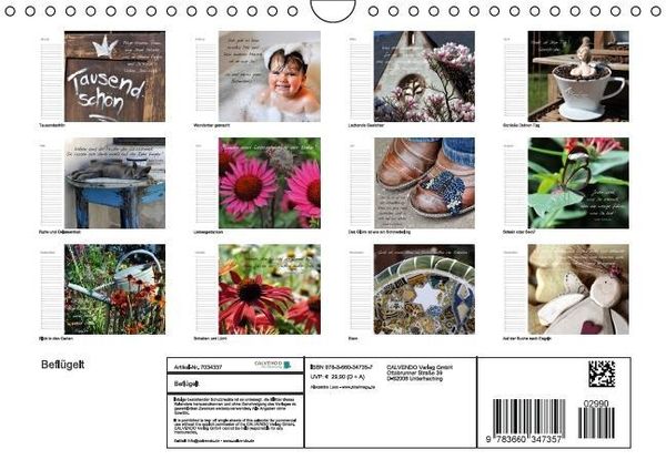 Produktbild: Befl&uuml;gelt (Wandkalender immerw&auml;hrend DIN A4 quer)