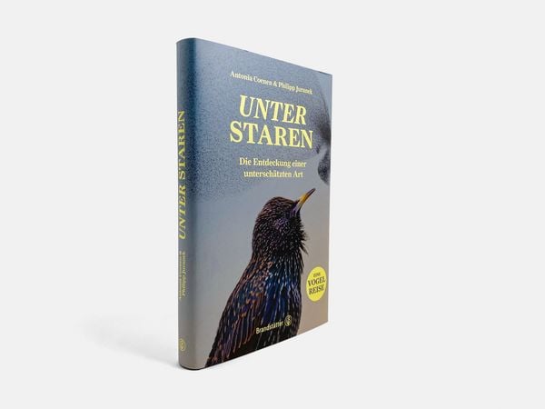 Produktbild: Unter Staren