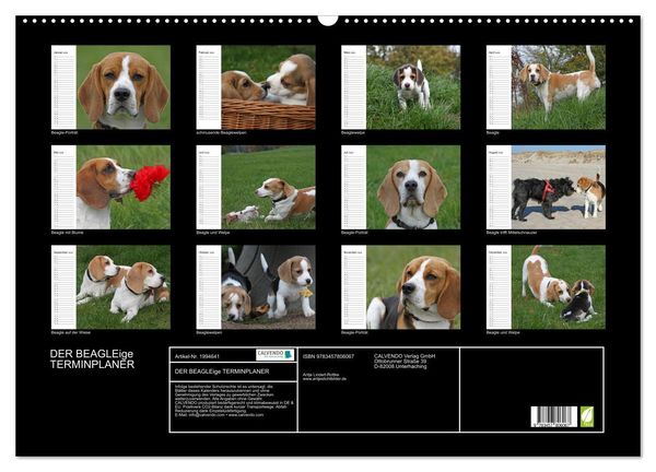 Produktbild: DER BEAGLEige TERMINPLANER (Wandkalender 2026 DIN A2 quer), CALVENDO Monatskalender