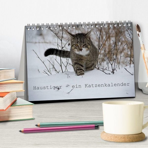 Produktbild: Haustiger - Ein Katzenkalender (Tischkalender 2026 DIN A5 quer), CALVENDO Monatskalender