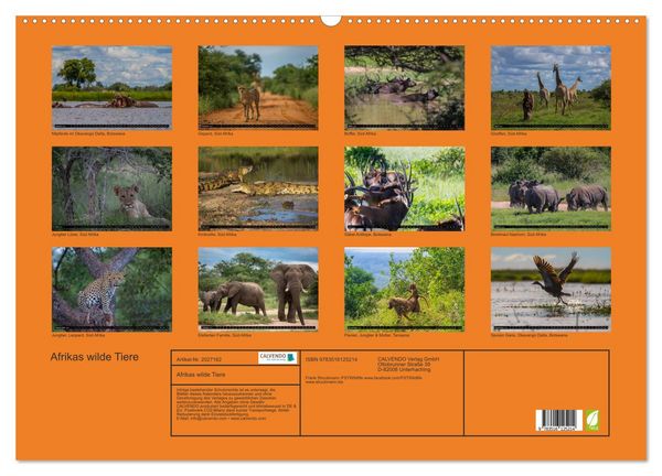 Produktbild: Afrikas wilde Tiere (Wandkalender 2026 DIN A2 quer), CALVENDO Monatskalender