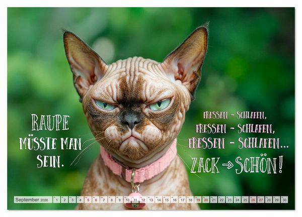 Produktbild: FLAUSCHFIGUR DELUXE Jeden Monat ein H&auml;ppchen Humor (Wandkalender 2026 DIN A2 quer), CALVENDO Monatskalender