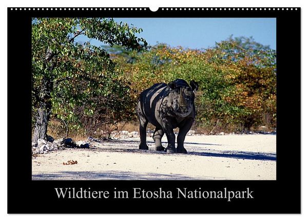 Produktbild: Wildtiere im Etosha Nationalpark (Wandkalender 2027 DIN A2 quer), CALVENDO Monatskalender