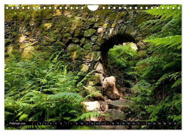 Produktbild: San Miguel de la Palma (Wandkalender 2026 DIN A4 quer), CALVENDO Monatskalender