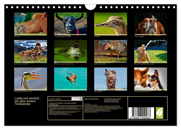 Produktbild: Lustig und verr&uuml;ckt - der ganz andere Tierkalender (Wandkalender 2026 DIN A4 quer), CALVENDO Monatskalender