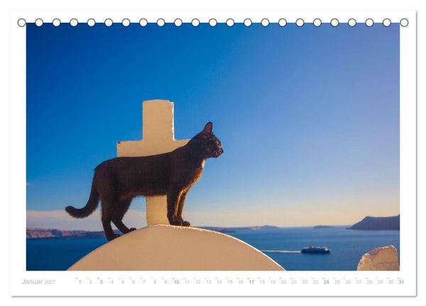 Produktbild: Inselkatzen (Tischkalender 2027 DIN A5 quer), CALVENDO Monatskalender