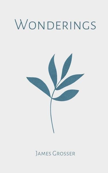 Produktbild: Wonderings