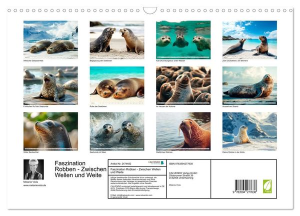 Produktbild: Faszination Robben - Zwischen Wellen und Weite (Wandkalender 2027 DIN A3 quer), CALVENDO Monatskalender