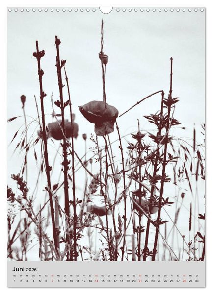 Produktbild: Natur monochrom Die besondere Wirkung (Wandkalender 2026 DIN A3 hoch), CALVENDO Monatskalender