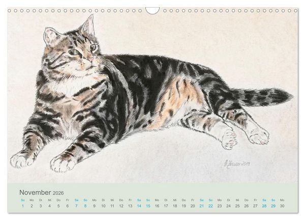 Produktbild: KATZEN PortraiTierART (Wandkalender 2026 DIN A3 quer), CALVENDO Monatskalender