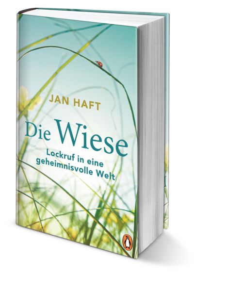 Produktbild: Die Wiese