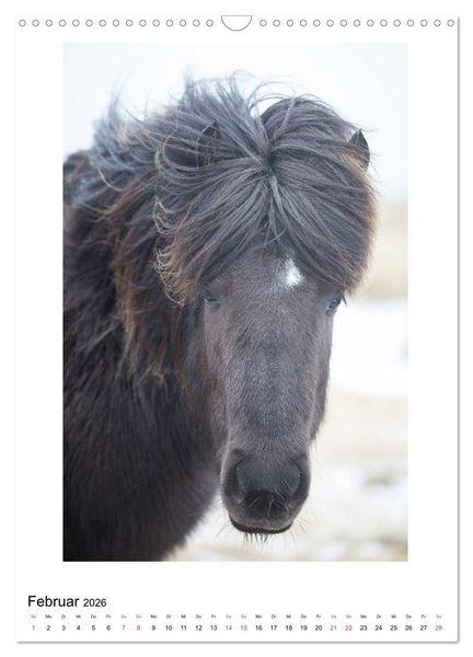 Produktbild: F&ouml;hnfrisuren (Wandkalender 2026 DIN A3 hoch), CALVENDO Monatskalender