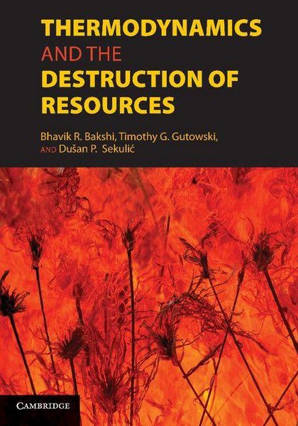 Produktbild: Thermodynamics and the Destruction of Resources