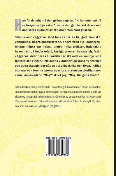 Produktbild: Skuggor vid aftonlampan