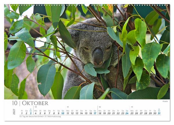 Produktbild: Australien - Highlights Ostk&uuml;ste (hochwertiger Premium Wandkalender 2027 DIN A2 quer), Kunstdruck in Hochglanz