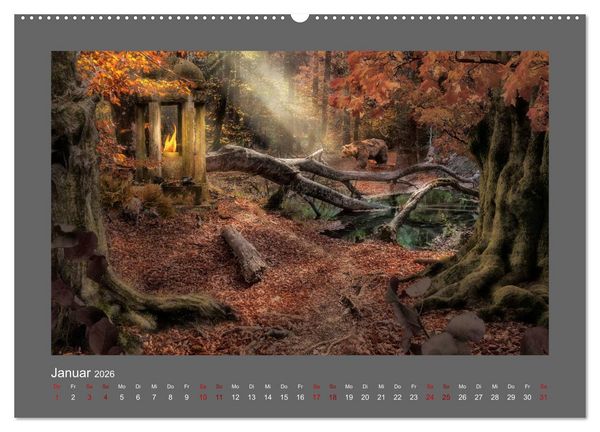 Produktbild: Waldgeheimnisse (Wandkalender 2026 DIN A2 quer), CALVENDO Monatskalender