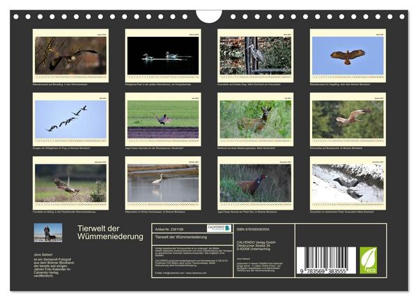 Produktbild: Tierwelt der W&uuml;mmeniederung (Wandkalender 2027 DIN A4 quer), CALVENDO Monatskalender