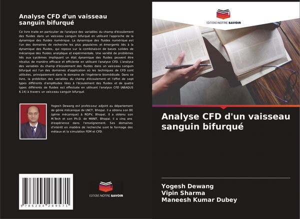 Produktbild: Analyse CFD d'un vaisseau sanguin bifurqu&eacute;