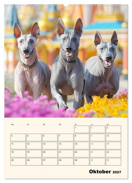 Produktbild: Xolos. Seelenhunde aus Mexiko (hochwertiger Premium Wandkalender 2027 DIN A2 hoch), Kunstdruck in Hochglanz