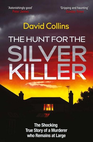 Produktbild: The Hunt for the Silver Killer