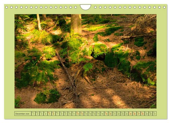 Produktbild: Wonderful Black Forest (Wall Calendar 2026 DIN A4 landscape), CALVENDO 12 Month Wall Calendar