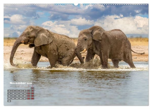 Produktbild: Action in der Savanne (hochwertiger Premium Wandkalender 2026 DIN A2 quer), Kunstdruck in Hochglanz