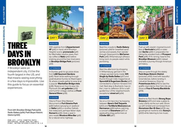 Produktbild: Lonely Planet Pocket Brooklyn