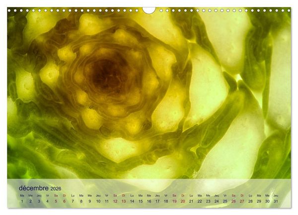 Produktbild: C&oelig;ur de fruits c&oelig;ur de l&eacute;gumes (Calendrier mural 2026 DIN A3 vertical), CALVENDO calendrier mensuel