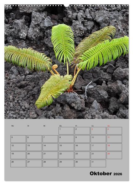 Produktbild: Hawaii - Land of Aloha (Wandkalender 2026 DIN A2 hoch), CALVENDO Monatskalender